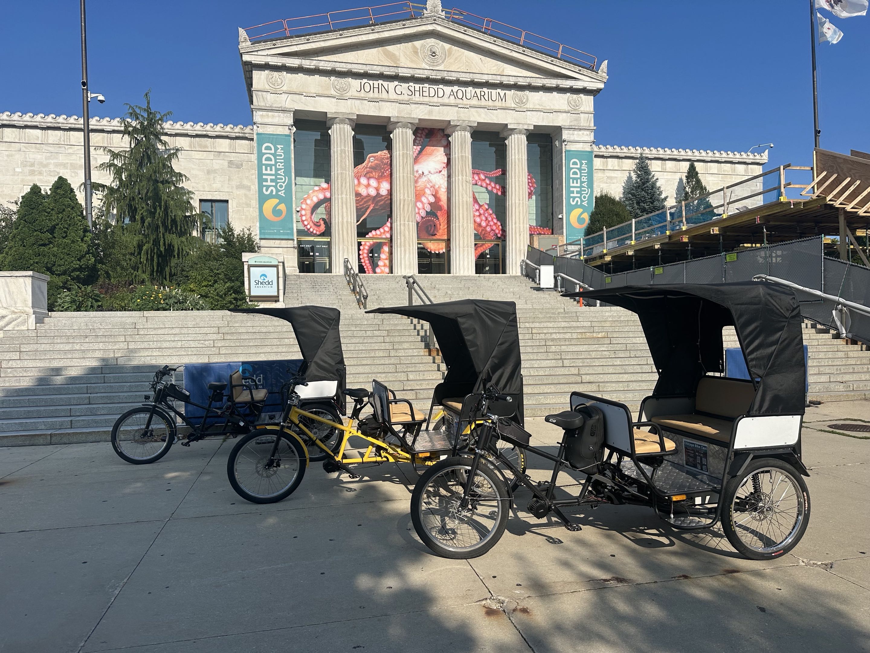 Shedd Aquarium Chicago